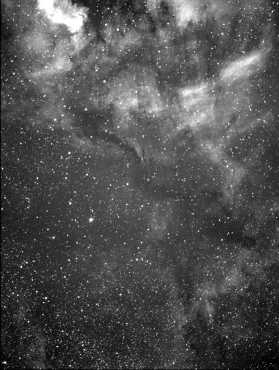 NGC7000_minami600Sx81
